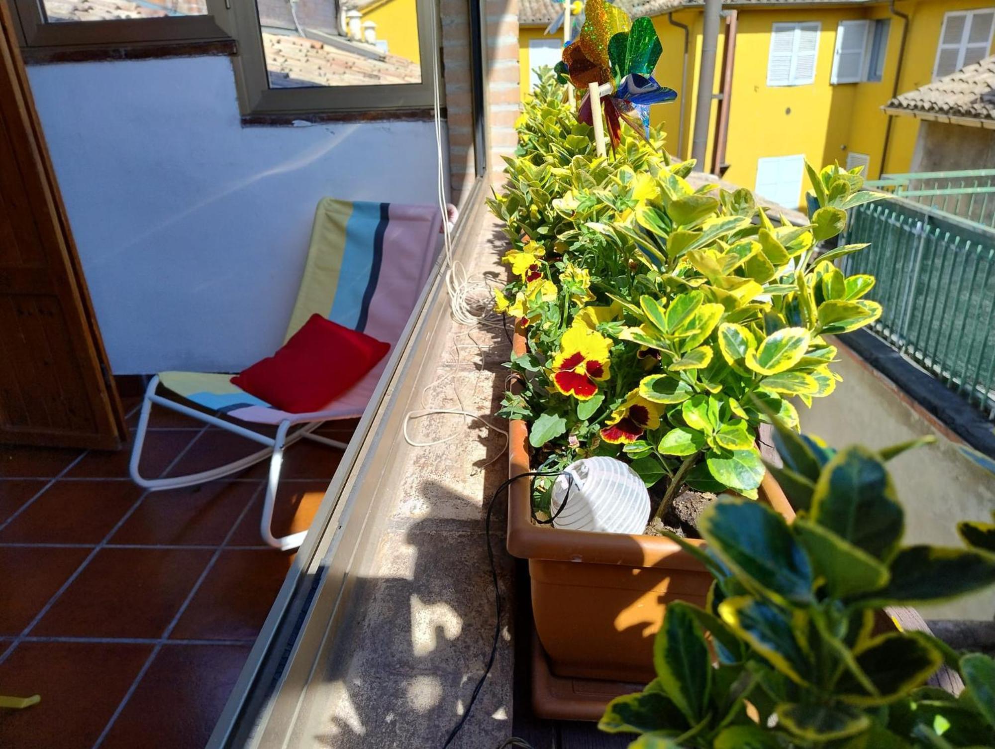 La Casa Di Mi Ma Apartemen Parma